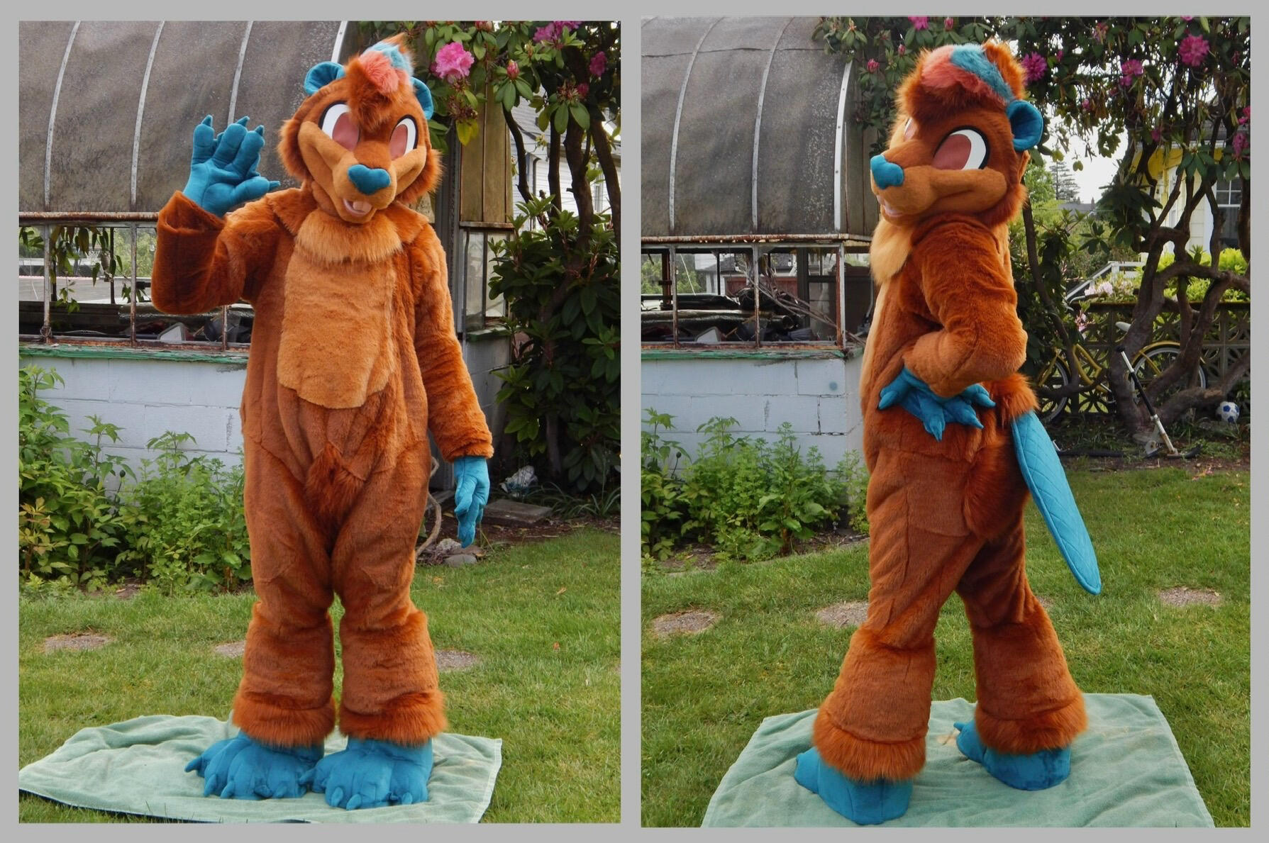 Fisker the beaver. Fullsuit commission, 2026