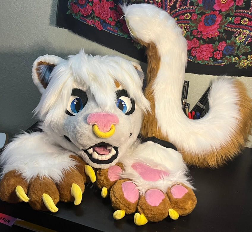 Scone the cat. Mini-partial, 2022 (my first suit!!!)