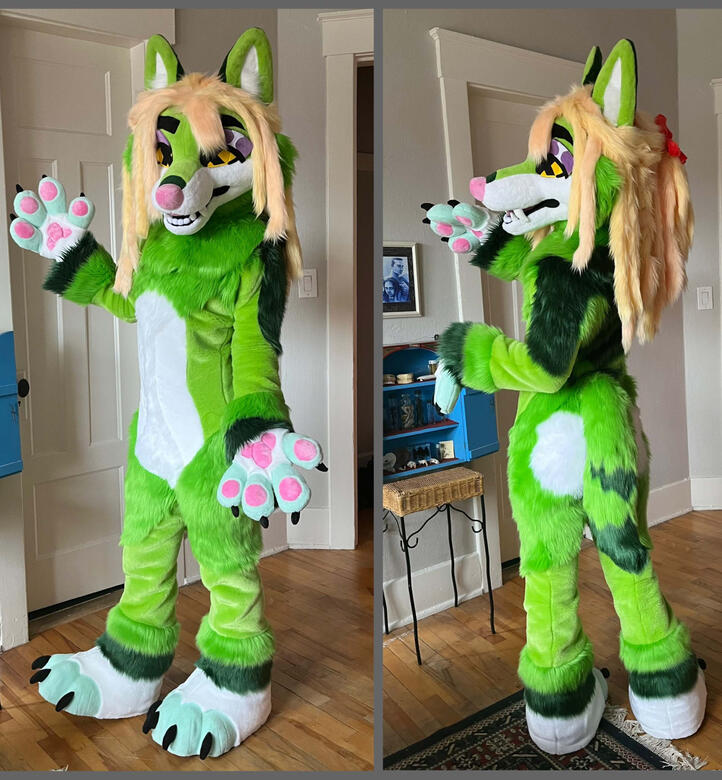 Stray the coyote, (hey that’s me!) Personal suit, 2024