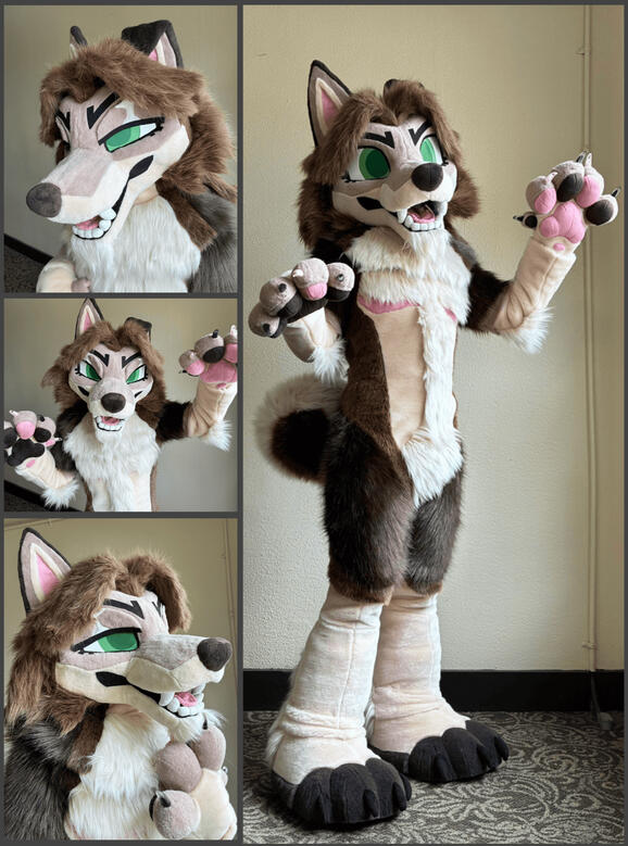Snake the coyote/husky hybrid. Fullsuit commission, 2025