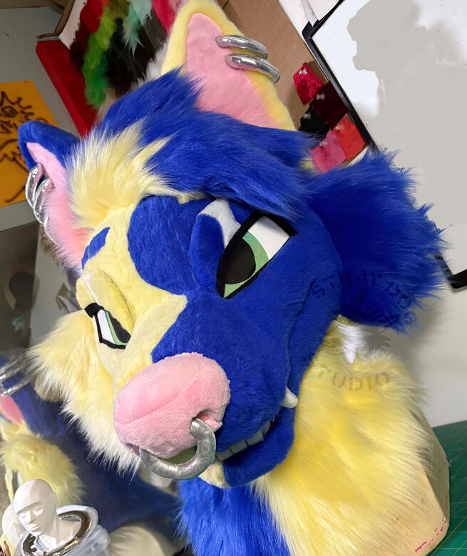 owne night shep, wolf/fox hybrid. Head commission, 2025