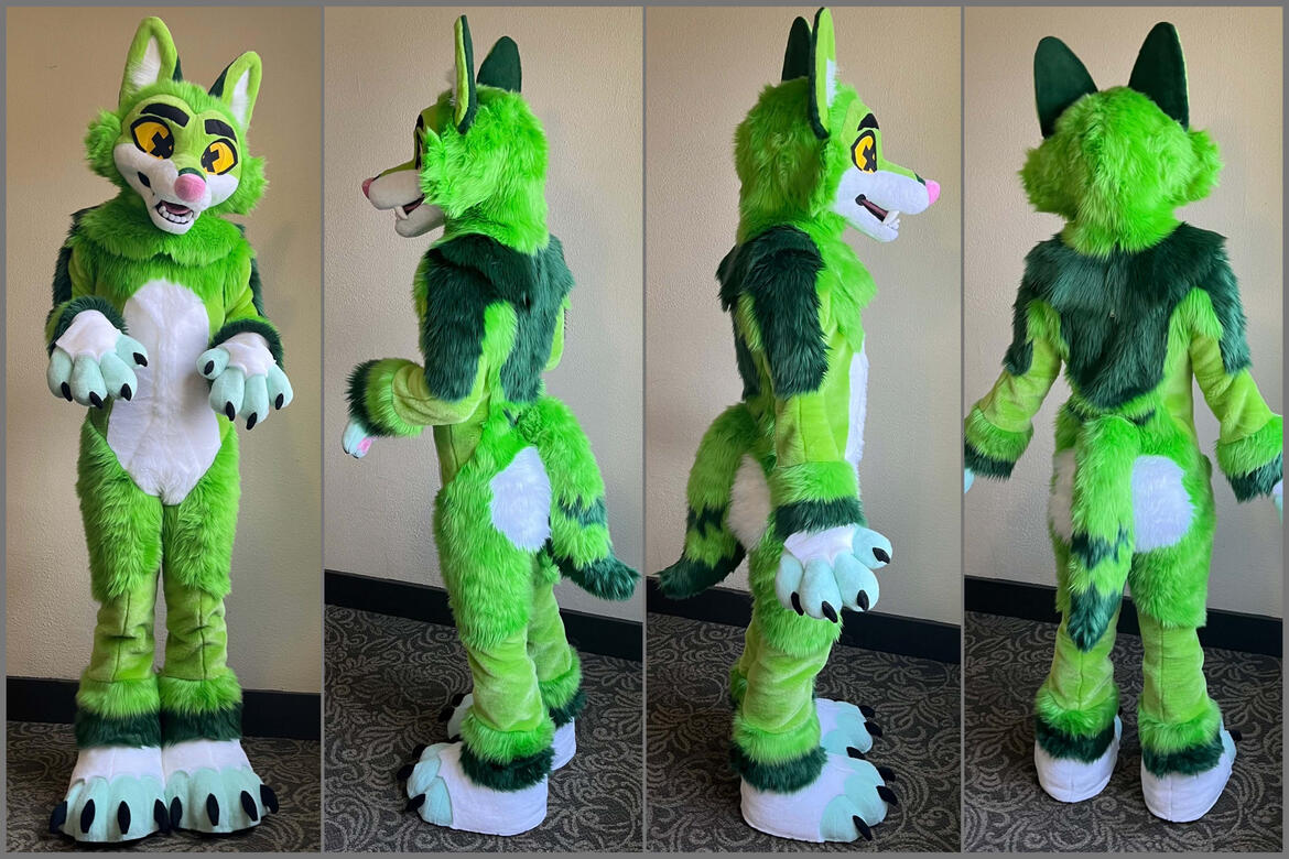 Stray the coyote, (hey that’s me!) Personal suit, 2024