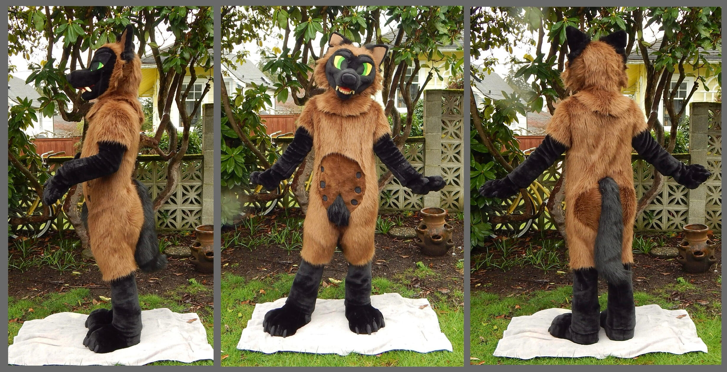 Scruffy the sea wolf. Fullsuit commission, 2026