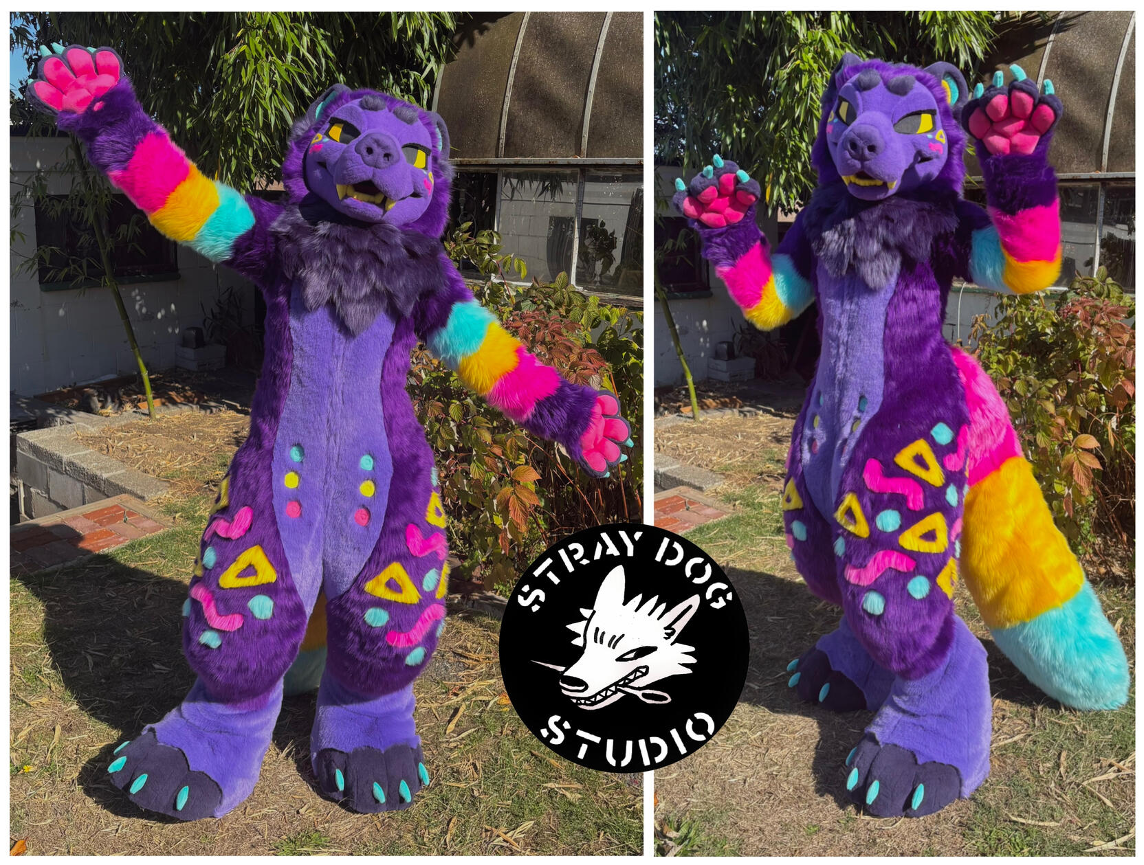 Atari the tanuki/wolverine. Fullsuit commission, 2026