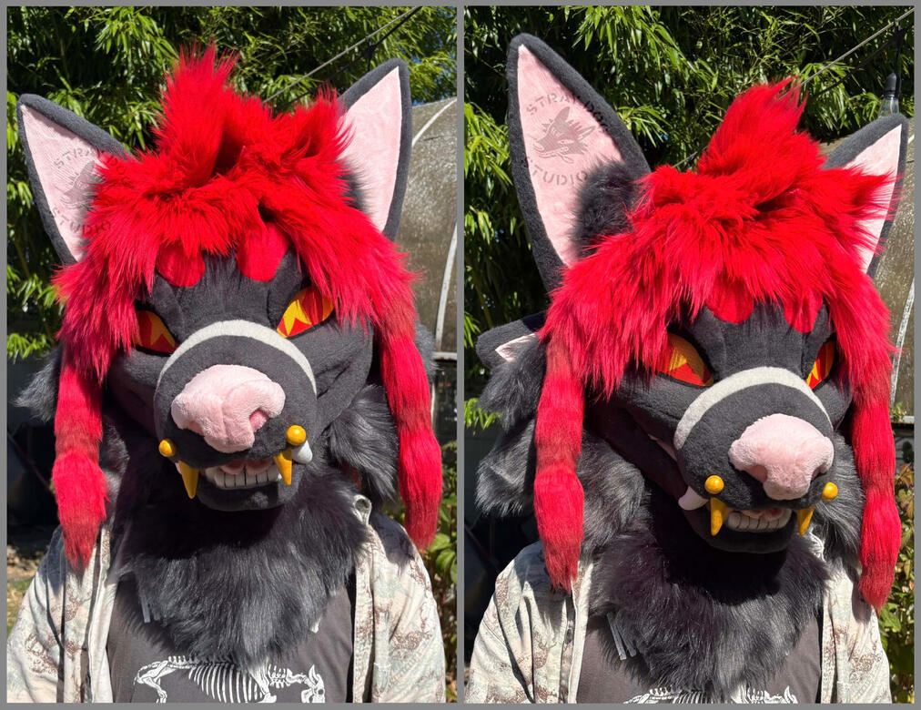 Marshall the cat/bat hybrid. Head commission, 2025